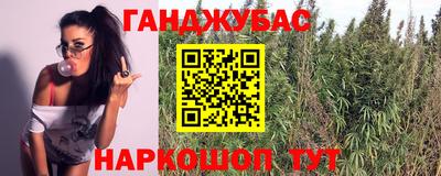 прущие грибы Баксан