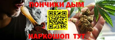 прущие грибы Баксан