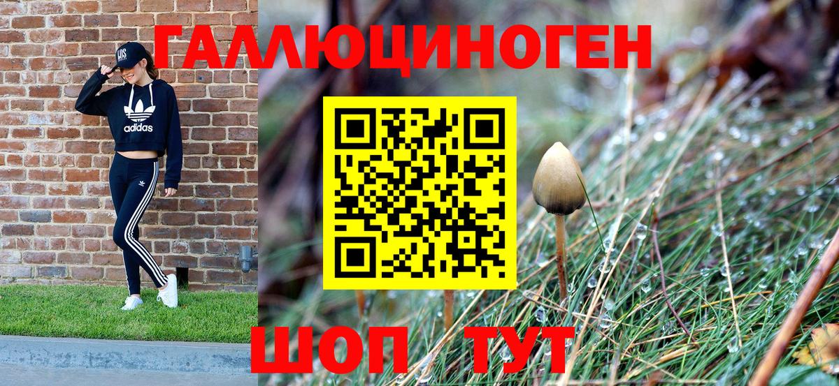 Псилоцибиновые грибы Magic Shrooms Комсомольск-на-Амуре